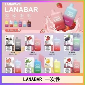 LANA BAR可充电一次性電子煙霧化5000口(3.0%)