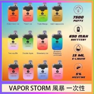 Vapor Storm風暴電子煙7500口（5%）一次性